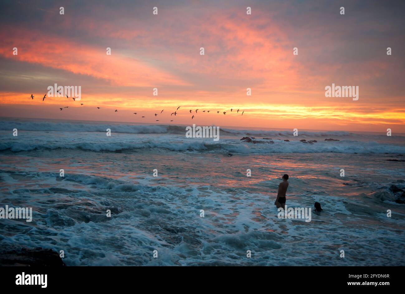 People watching pelicans in flight over ocean at sunset at Tamarindo, Costa Rica. Stock Photo