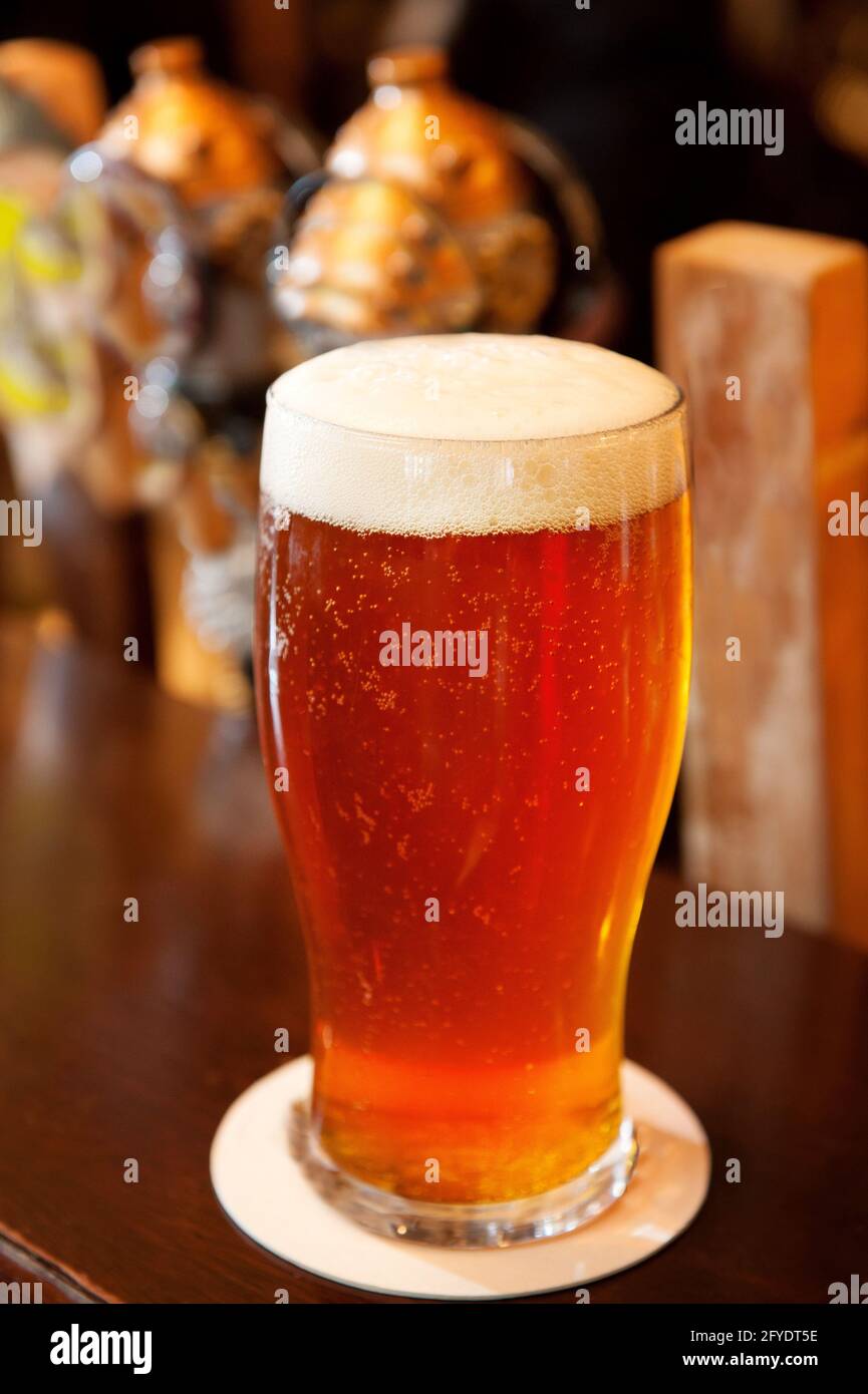 Pints of ale on the bar top of an Irish pub.  Whistler BC, Canada. Stock Photo