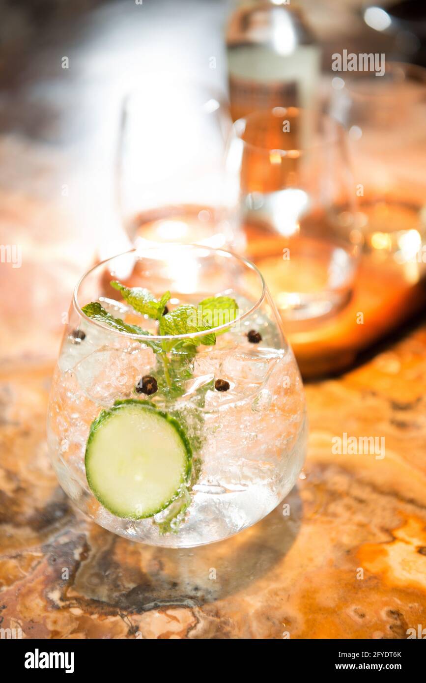 Gin and Tonic cocktail with cucumber and mint garnish Stock Photo - Alamy