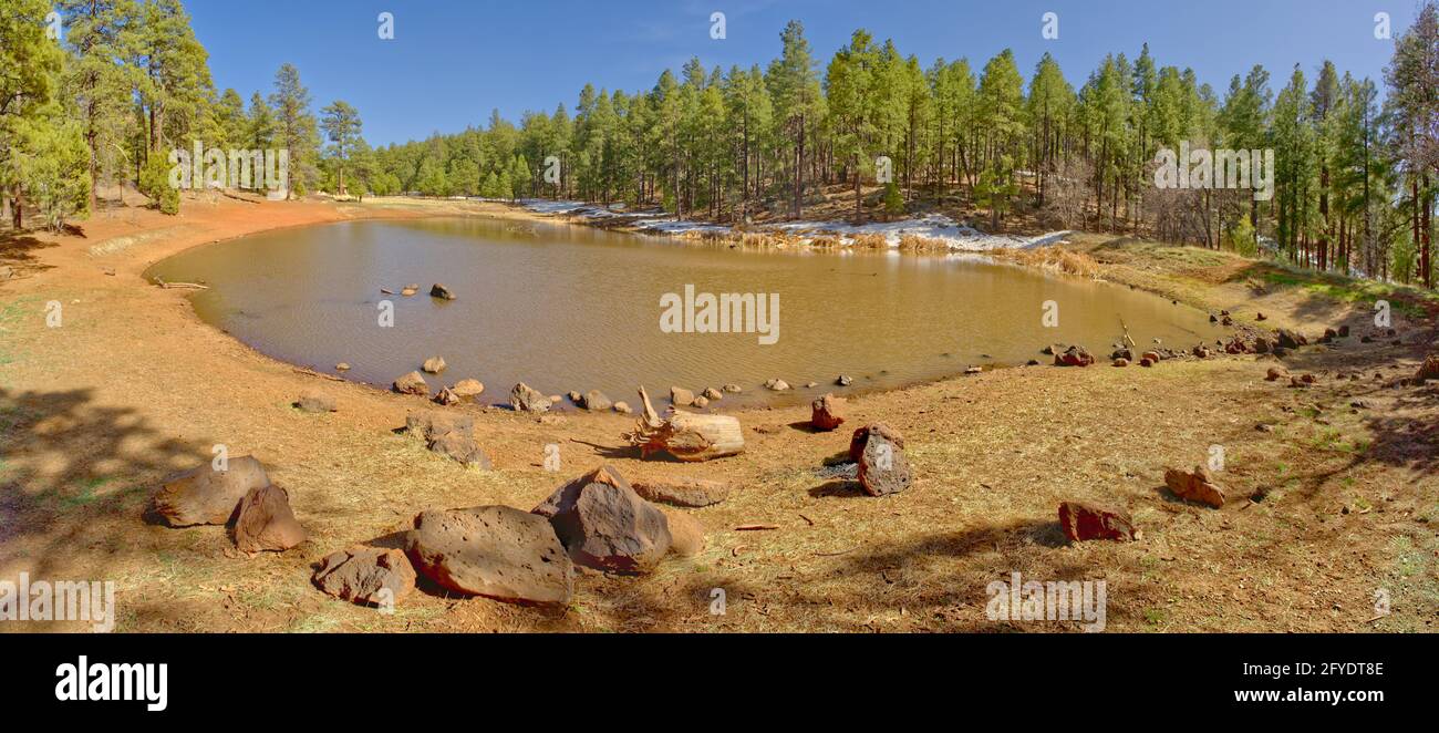 Mingus hires stock photography and images Alamy