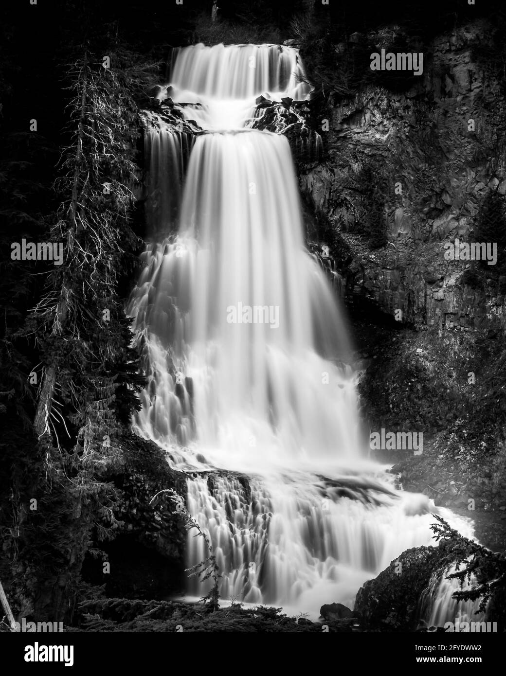 Black and White Photo of beautiful Alexander Falls, a waterfall on Madeley Creek, in the Callaghan Valley near Whistler, Canada Stock Photo