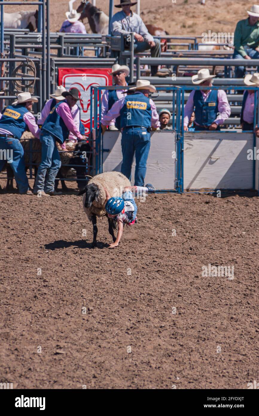 Santa Maria, CA, USA - June 6, 2010: Rodeo. Small kid with blue helmet ...