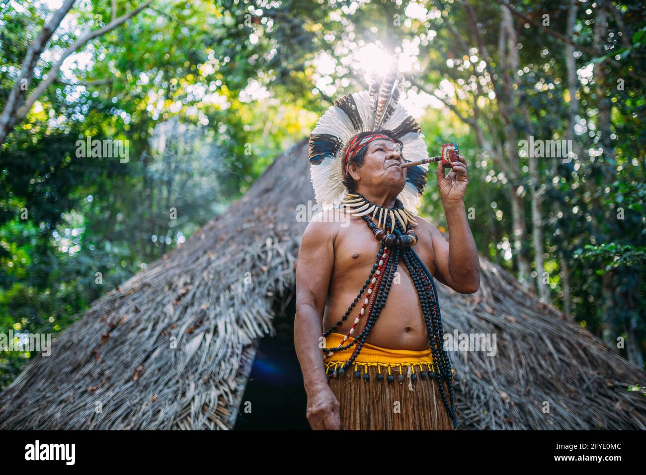 Indian shaman portrait hi-res stock photography and images - Alamy