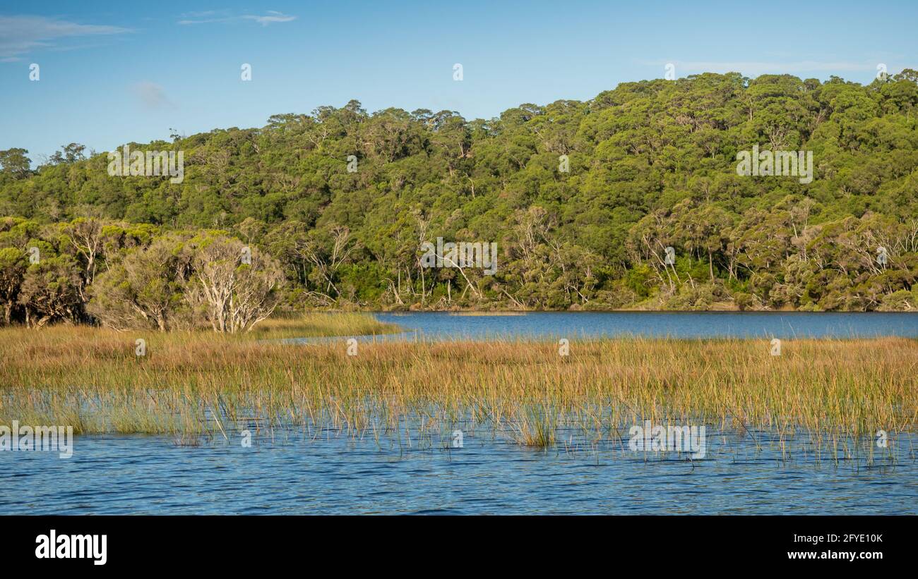 The Donnelly River flowing through the D'Entrecasteaux National Park in