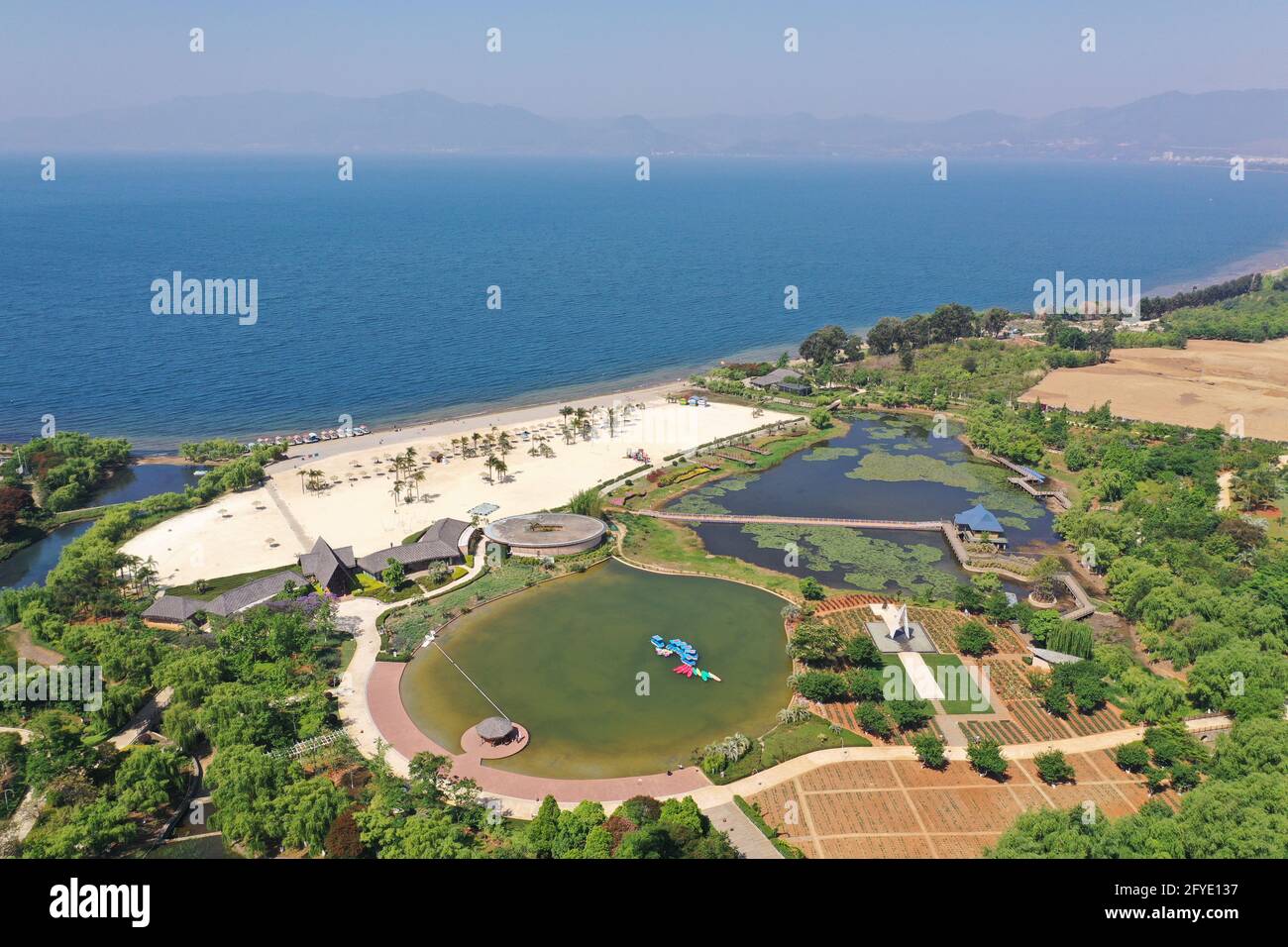 Aerial view of sandy beach with palm trees in Fuxian Lake coast with ...