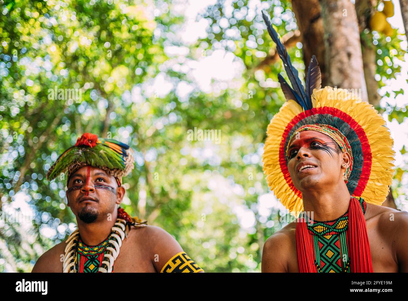 tribe. Brazilian Indian 