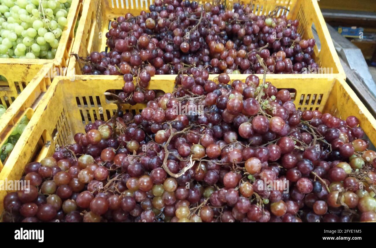 fresh sweet juicy ripe black grapes for sale in the market Stock Photo