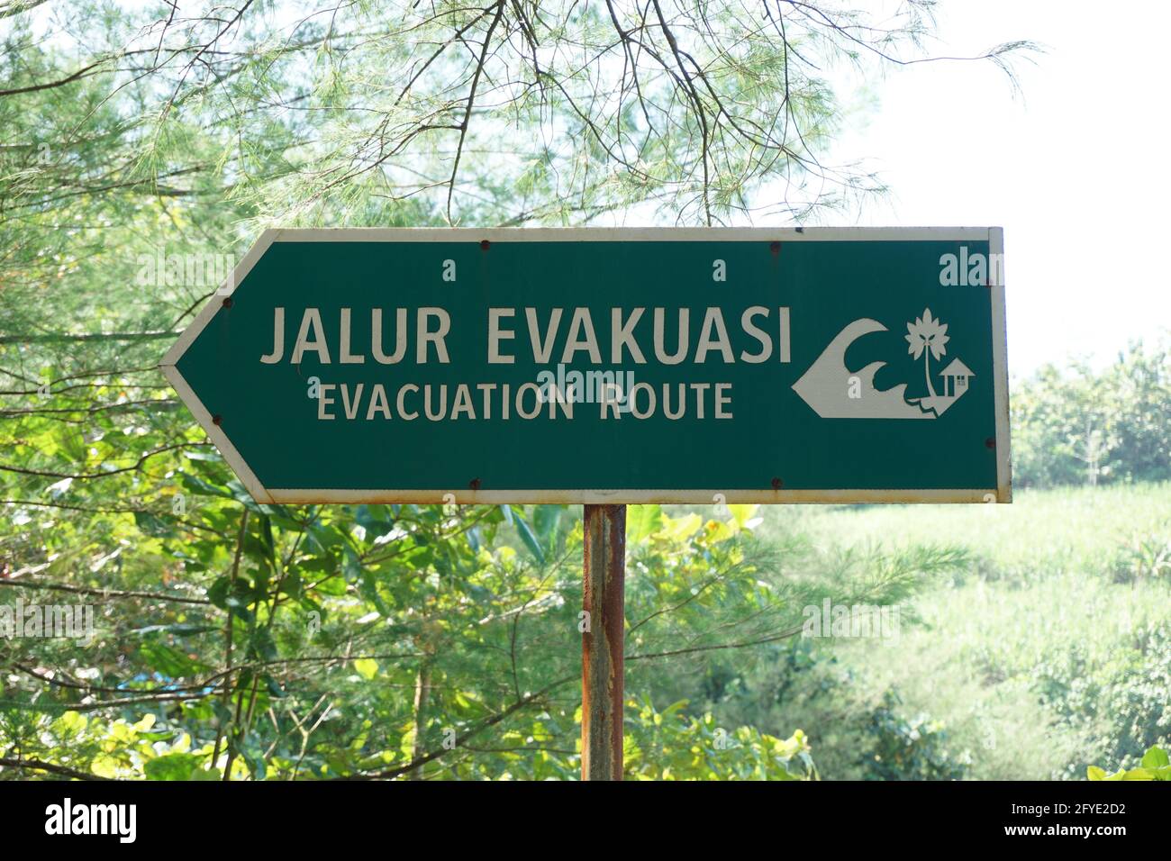 The sign of evacuation route a natural background Stock Photo