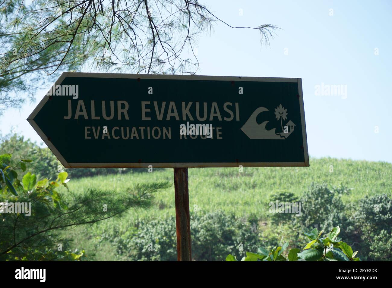 The sign of evacuation route a natural background Stock Photo