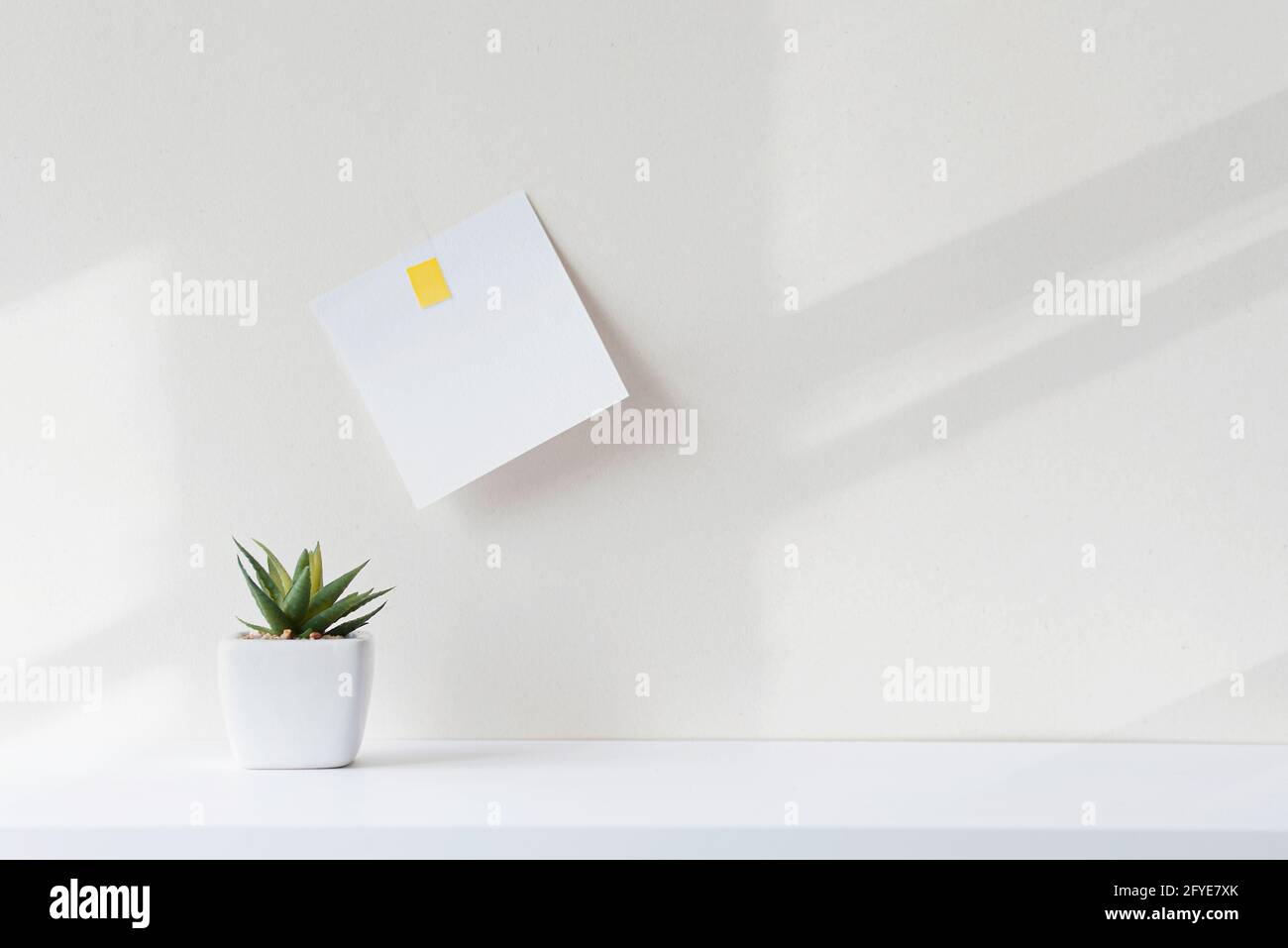 Composition with minimal objects on white desk. White paper square note over table in office. Interior with abstract shadowas during sunny day. Stock Photo