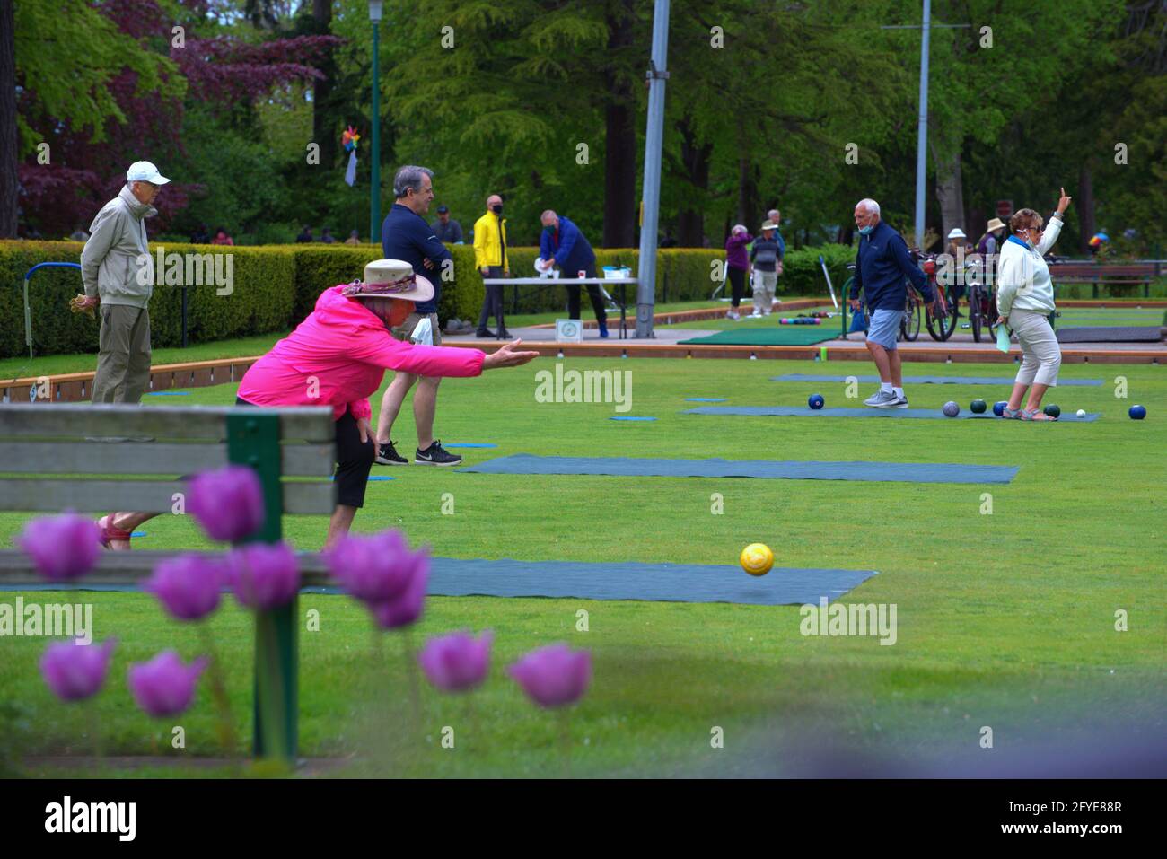 An elderly woman enjoying a beautiful  day in Stanley park, playing Lawn Bowling with friends.Vancouver,Canada Stock Photo