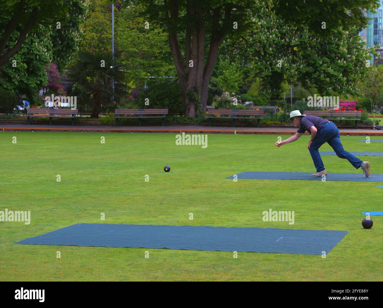 An elderly man enjoying a beautiful  day in Stanley park, playing Lawn Bowling with friends.Vancouver,Canada Stock Photo