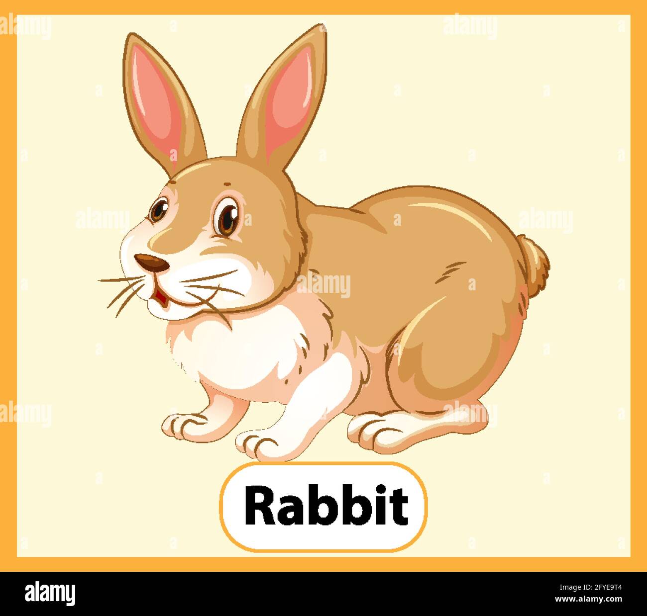Educational English word card of Rabbit illustration Stock Vector Image & Art Alamy