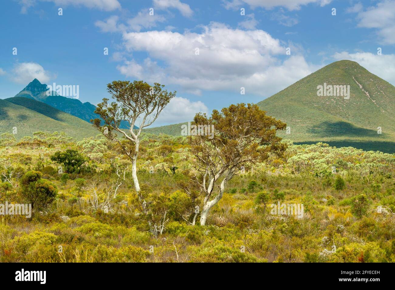 Stirling Range, WA, Australia Stock Photo