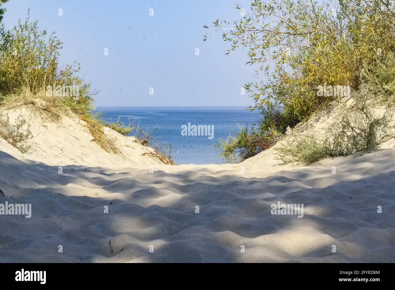 Sandy beach under blue sky Stock Photo - Alamy