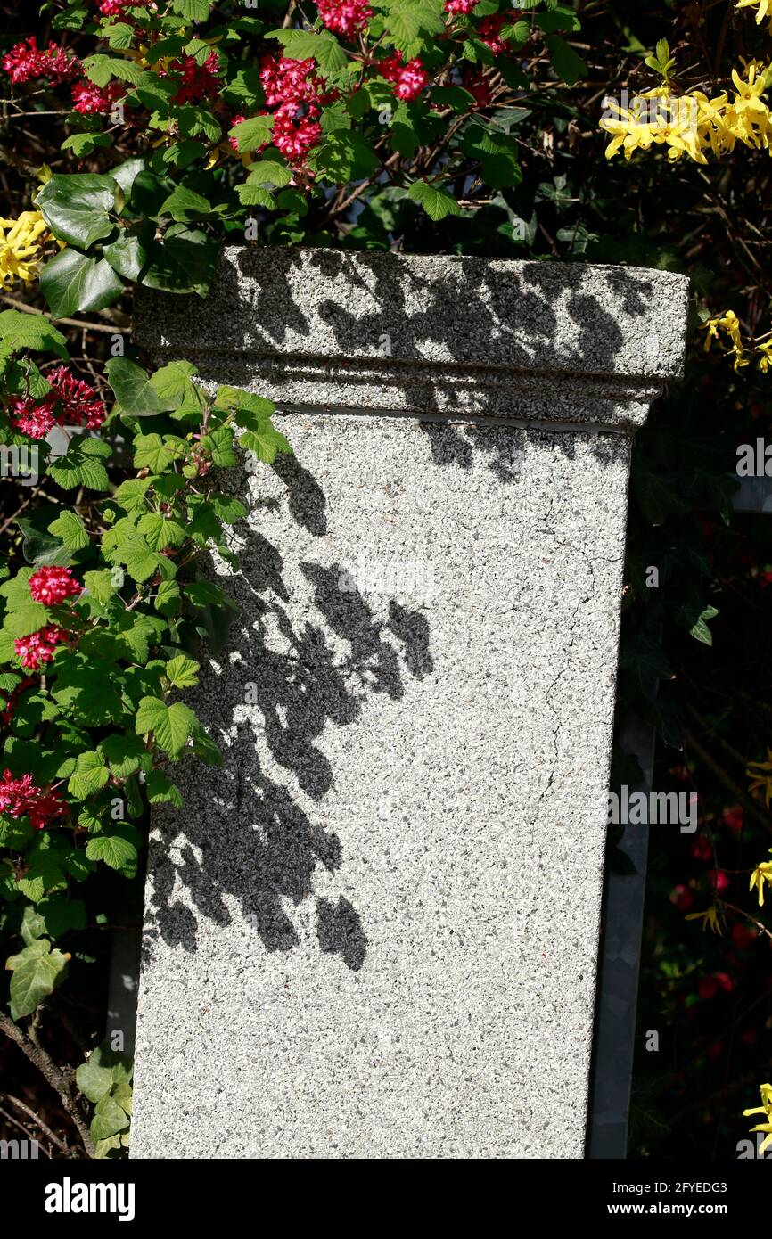 Blumen und Säule einer Gartenmauer, Deutschland, Europa Stock Photo