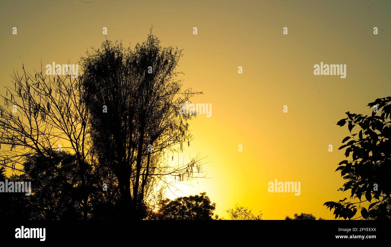 Panoramic sun sets in the afternoon is very beautiful with silhouettes of trees. Stock Photo