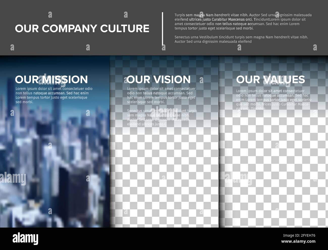 Vector Mission, vision and values company diagram schema infographic