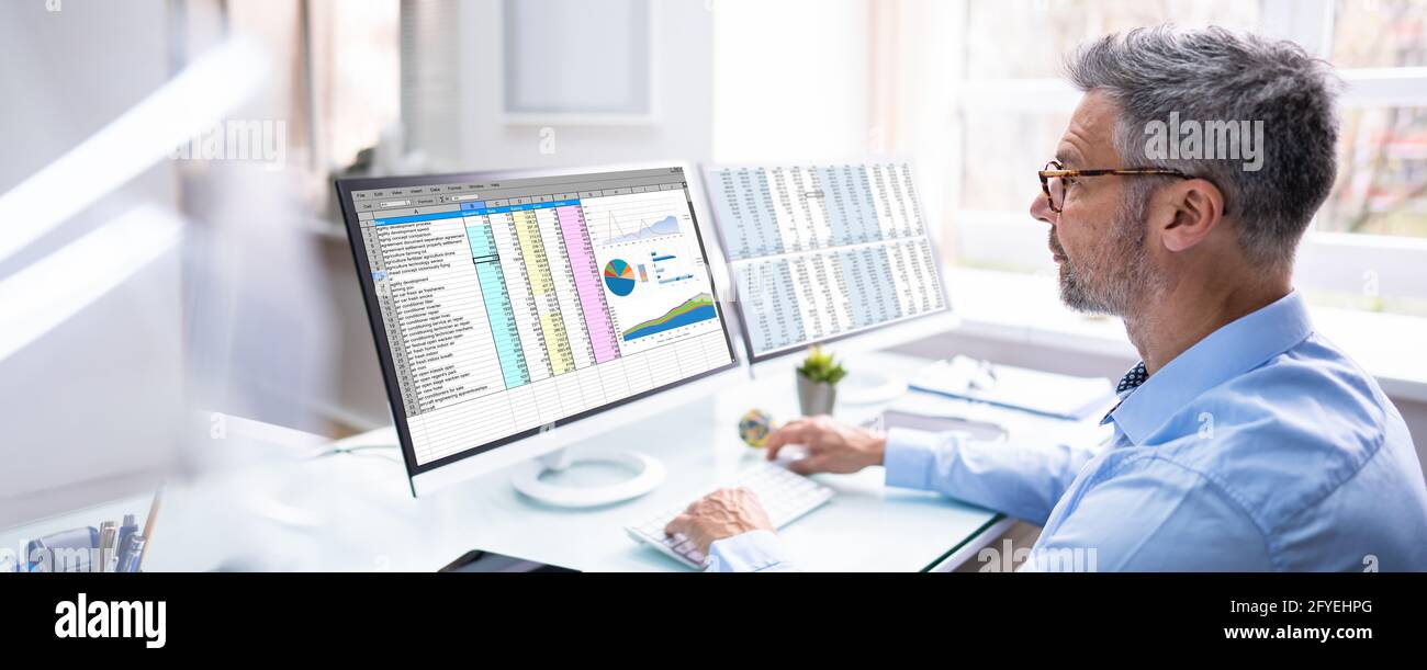 Auditor Employee And Data Analyst Using Computer Spreadsheet Stock Photo