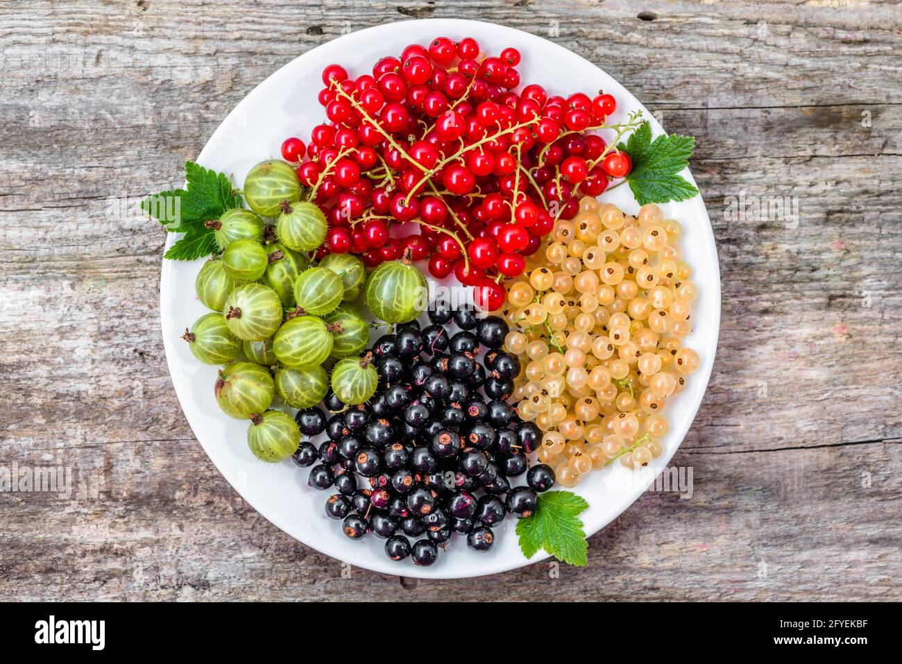 Summer fruits varieties: red currants, white currants and blackcurrants on plate, top view Stock Photo