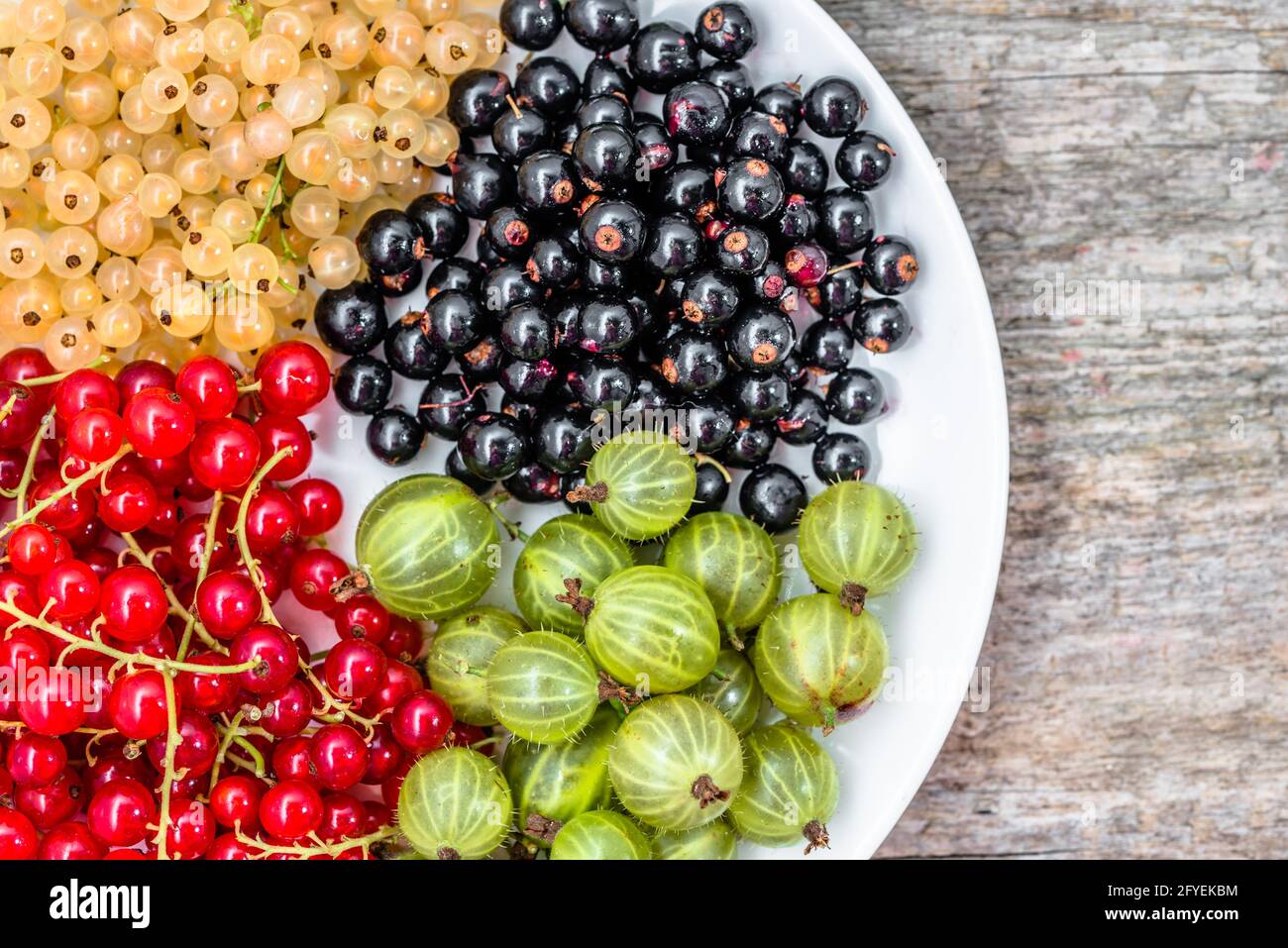 Summer fruits varieties: red currants, white currants and blackcurrants on plate, top view Stock Photo