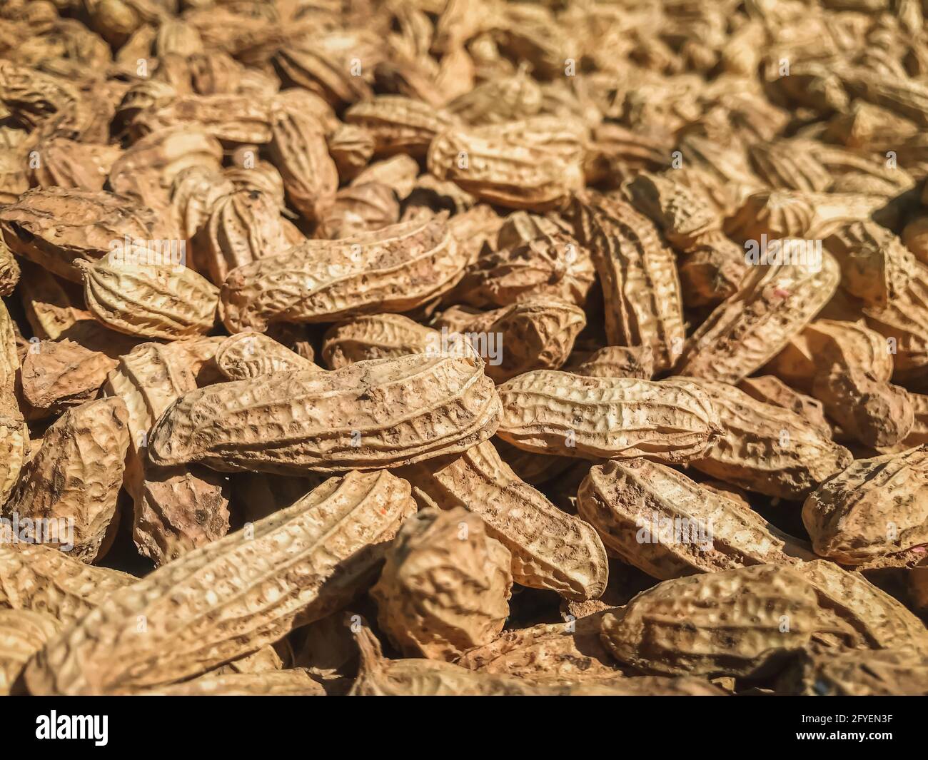Close-up of Peanuts (Arachis hypogaea). Food background. Stock Photo