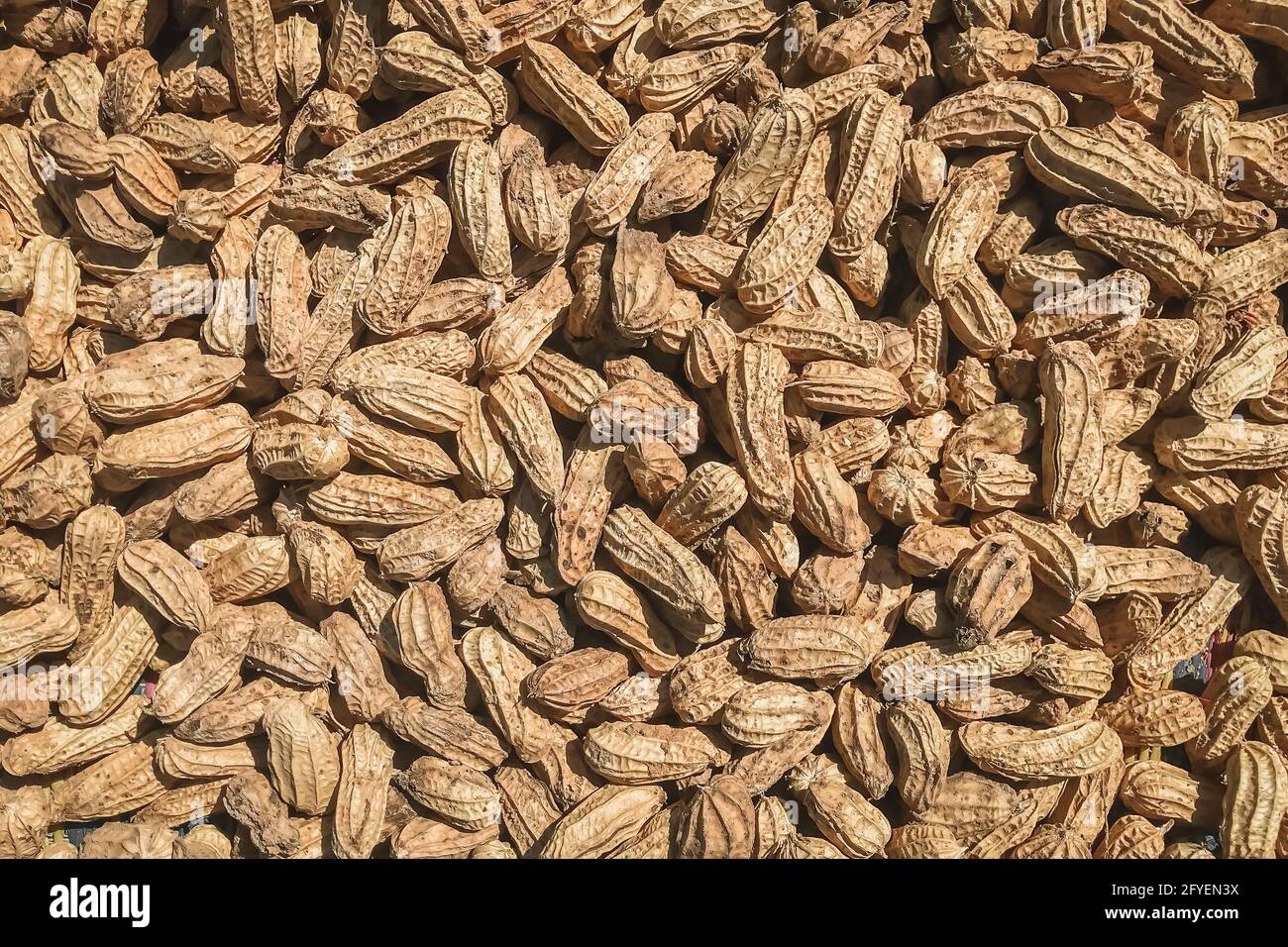Top view of Peanuts (Arachis hypogaea). Food background. Stock Photo