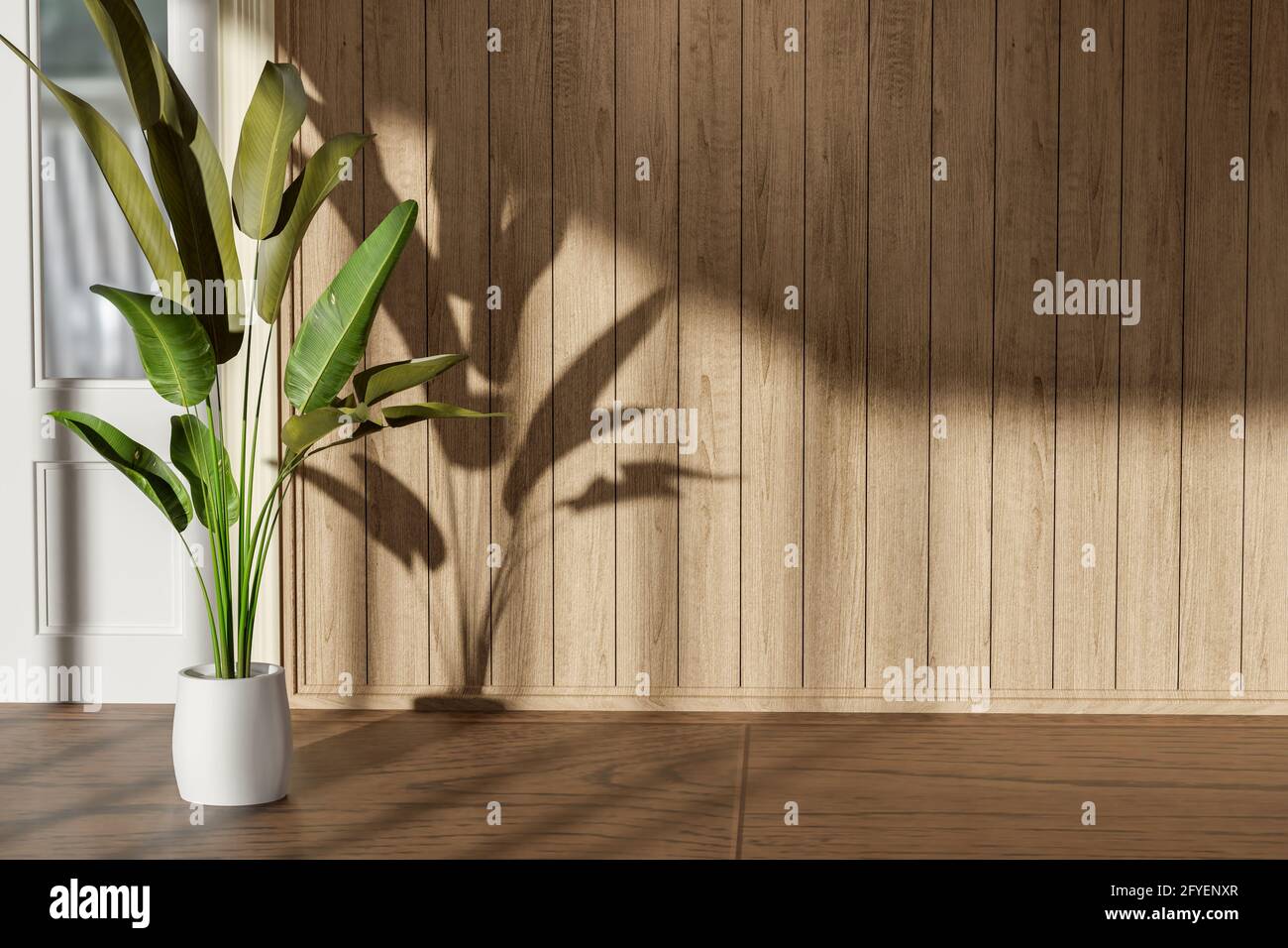 Plants decoration with shadow on empty room interior with wooden floor Stock Photo
