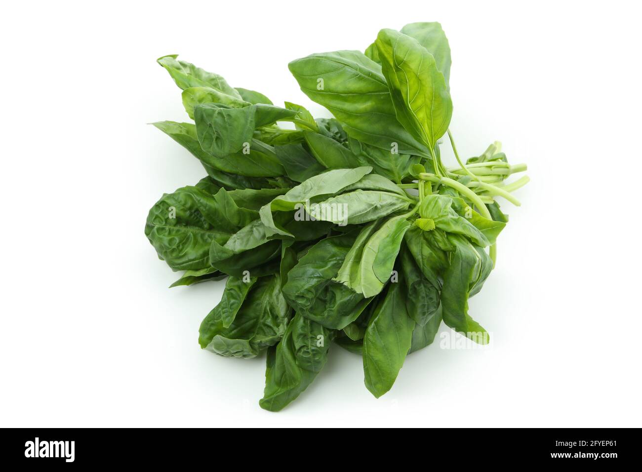 Fresh green basil isolated on white background Stock Photo - Alamy