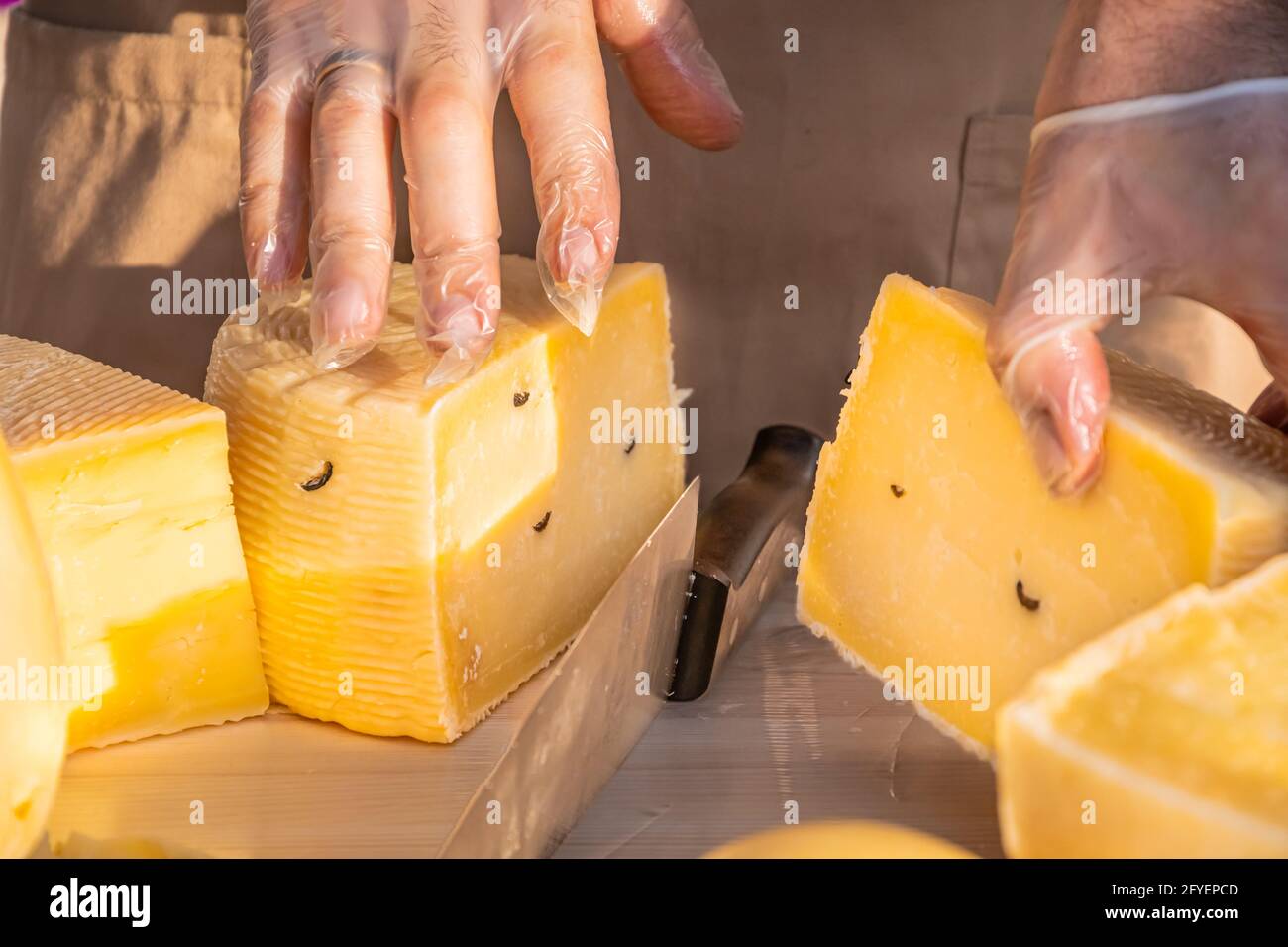 Shopkeeper's hands cutting a head of cheese close up. Artisan cheese in a street market. Cheese maker cutting cheese in his workshop. Food festival in Stock Photo
