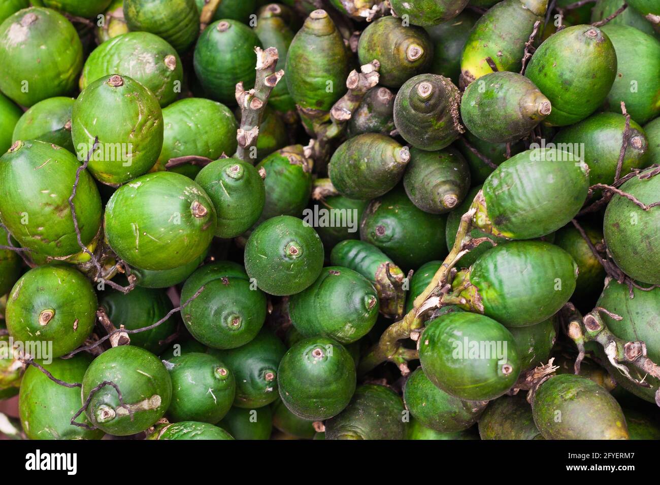 Trannies qizlarni sikishning porno videolari Mast porno tomosha