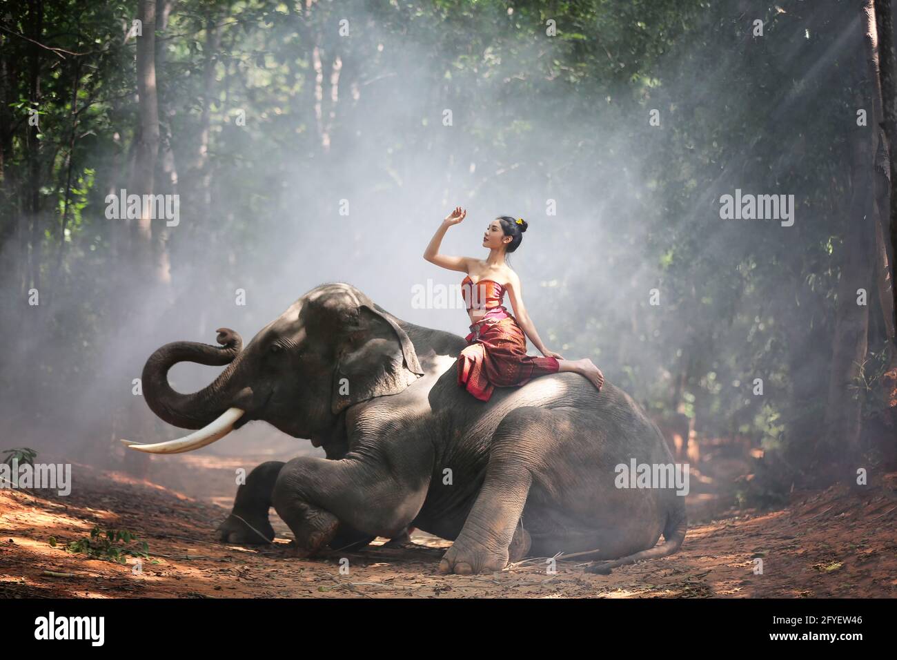 Beautiful young Asian woman dressed in traditional native dress and elephant in forest of village Surin Thailand Stock Photo