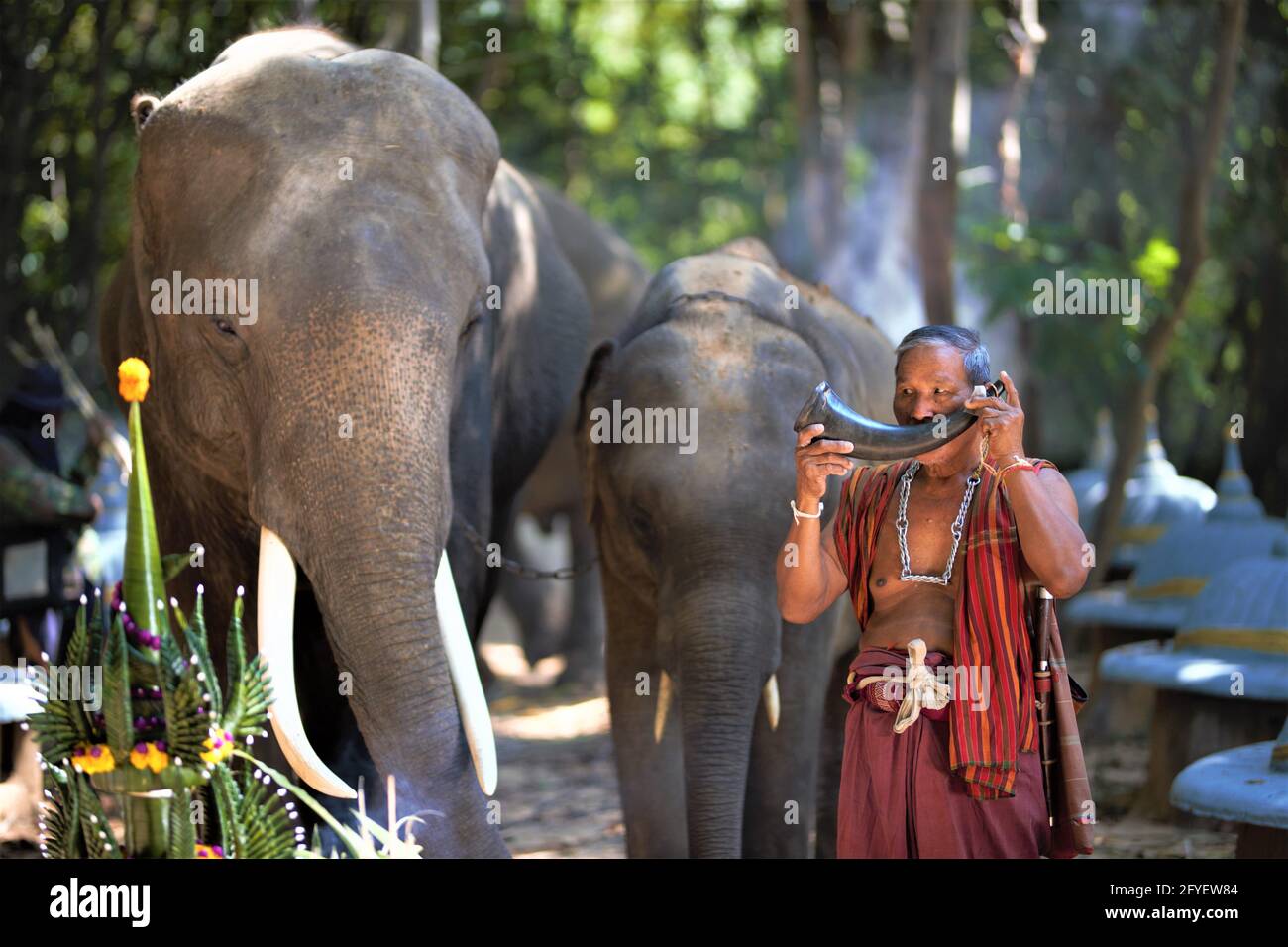 An Elephant Mahout And Elephant Walking Through The Haze In The Jungle 