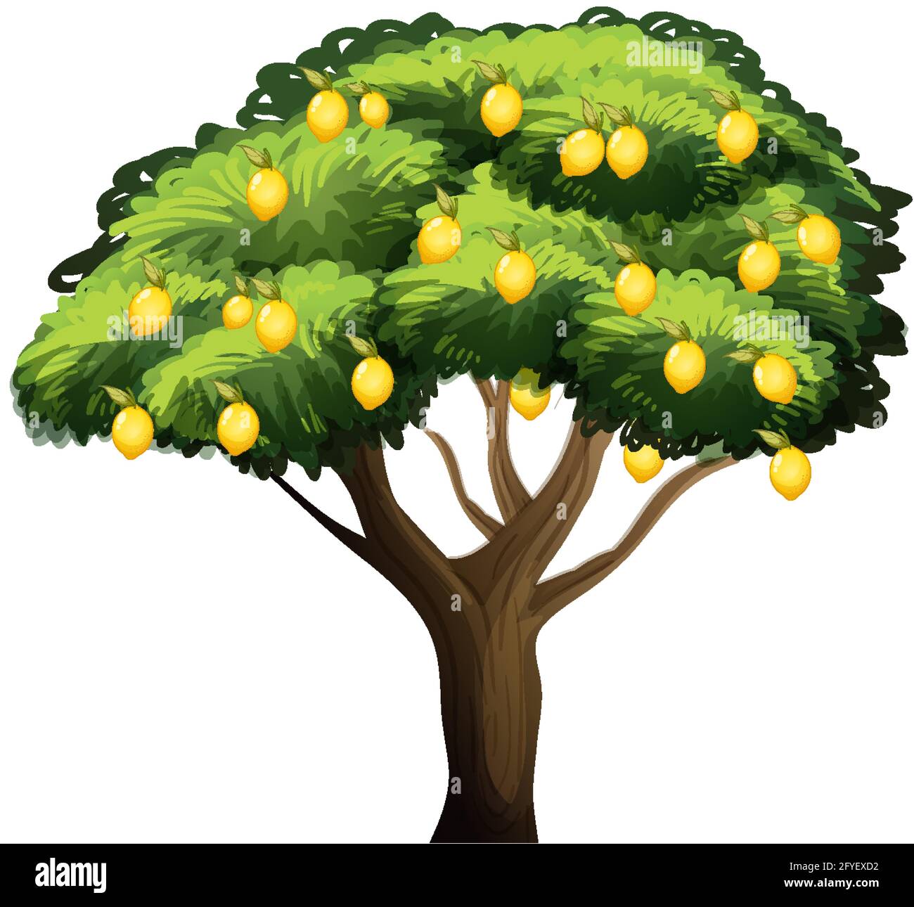 Lemon tree isolated on white background illustration Stock Vector Image ...