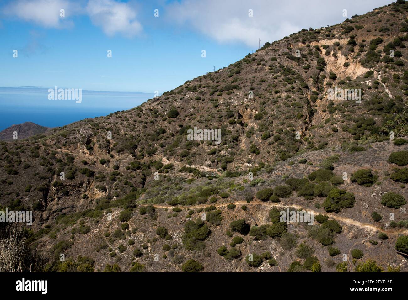 Dry vegetation in the Barranca Tazo in the northwest of La Gomera in the Canary Island. Stock Photo