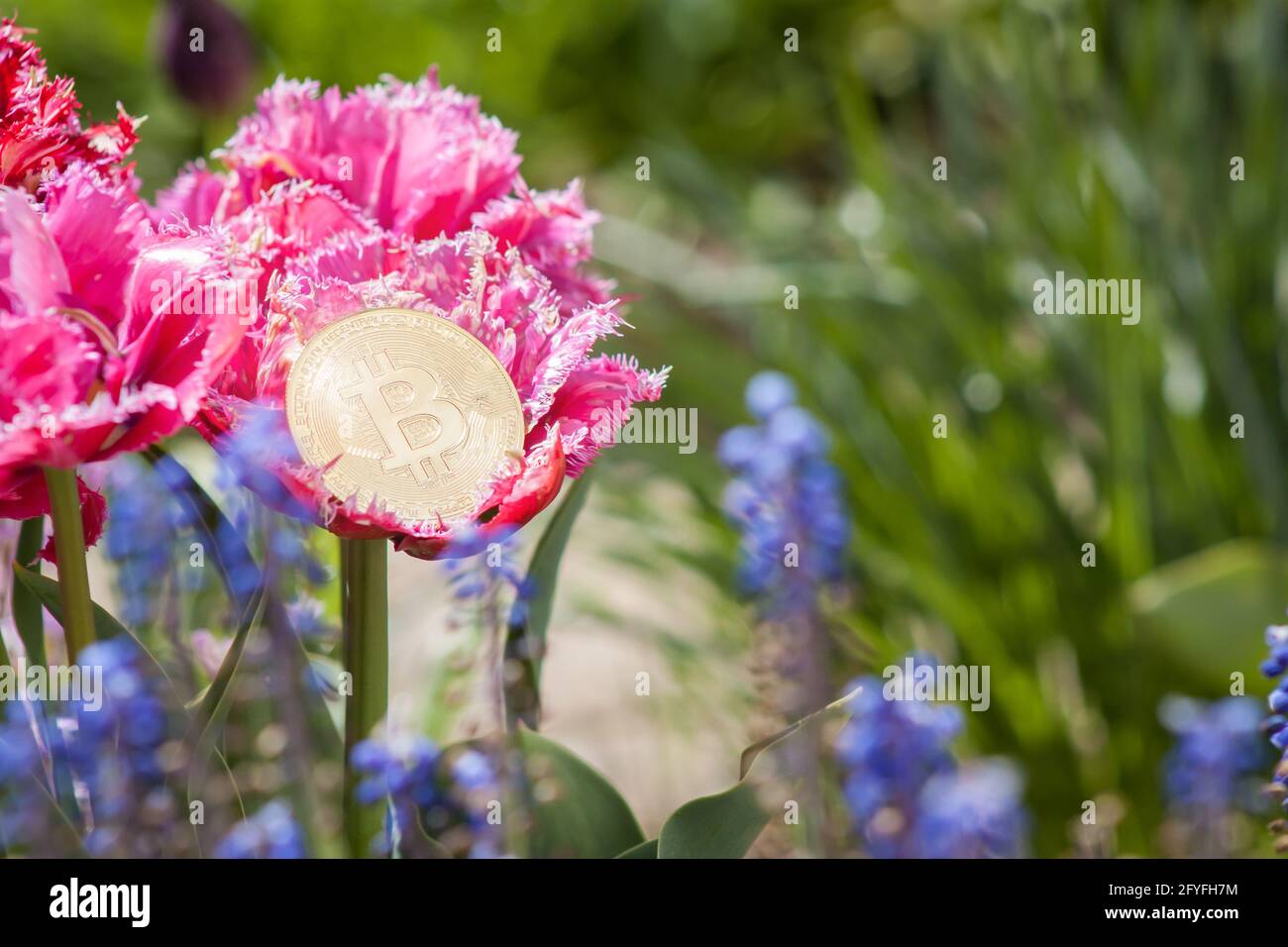 Btc flowers hi-res stock photography and images - Alamy