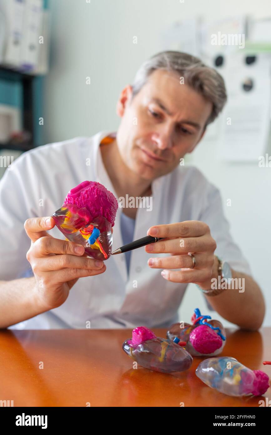 Portrait of Prof. Jean-Christophe Bernhard, Urology Department of Bordeaux Hospital, holding a 3D printed kidney model with tumor, 3D printing improve Stock Photo