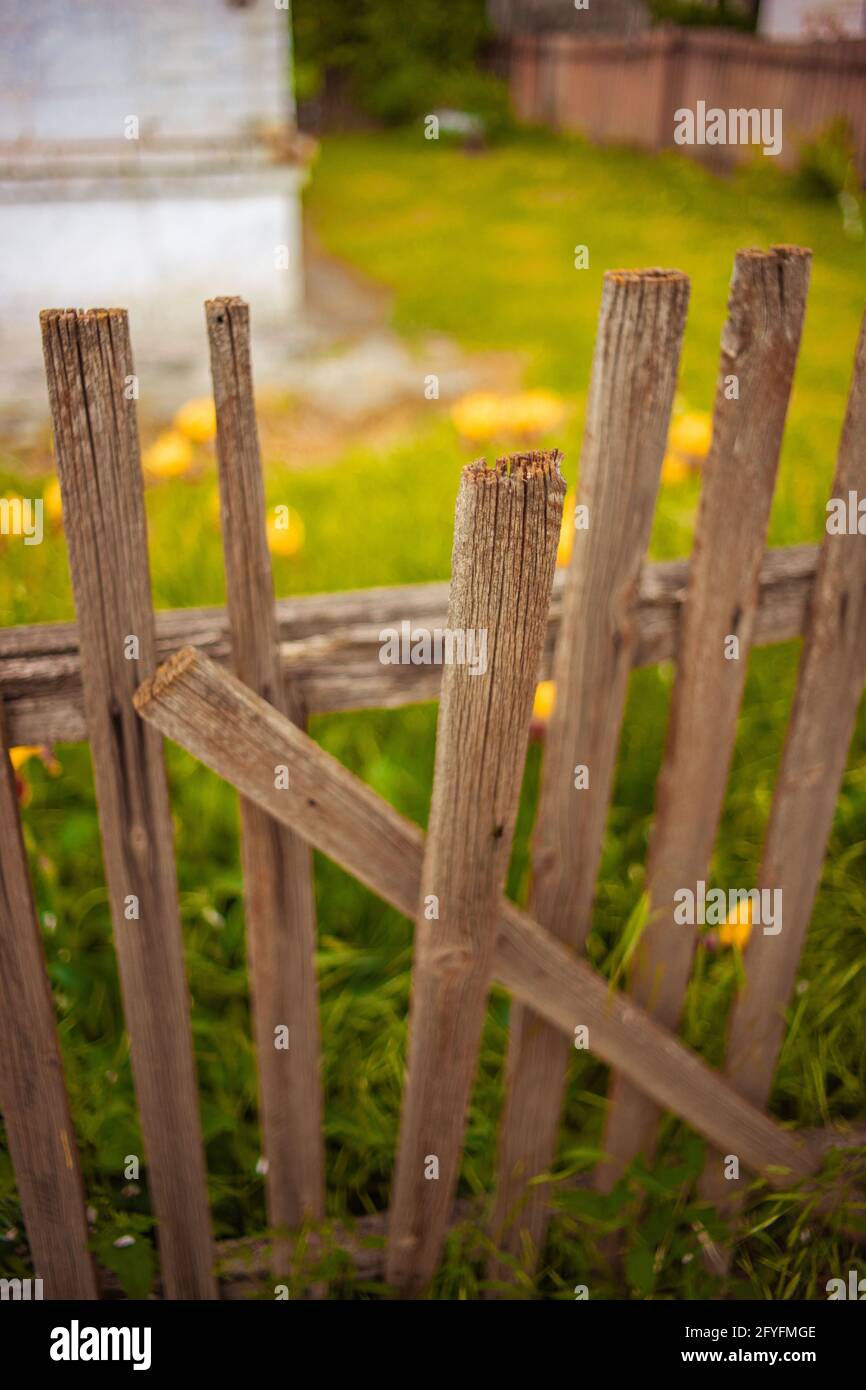 Old broken picket fence hi-res stock photography and images - Alamy