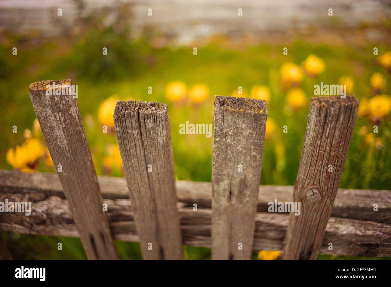 Closeup old picket fence in rural garden Stock Photo - Alamy
