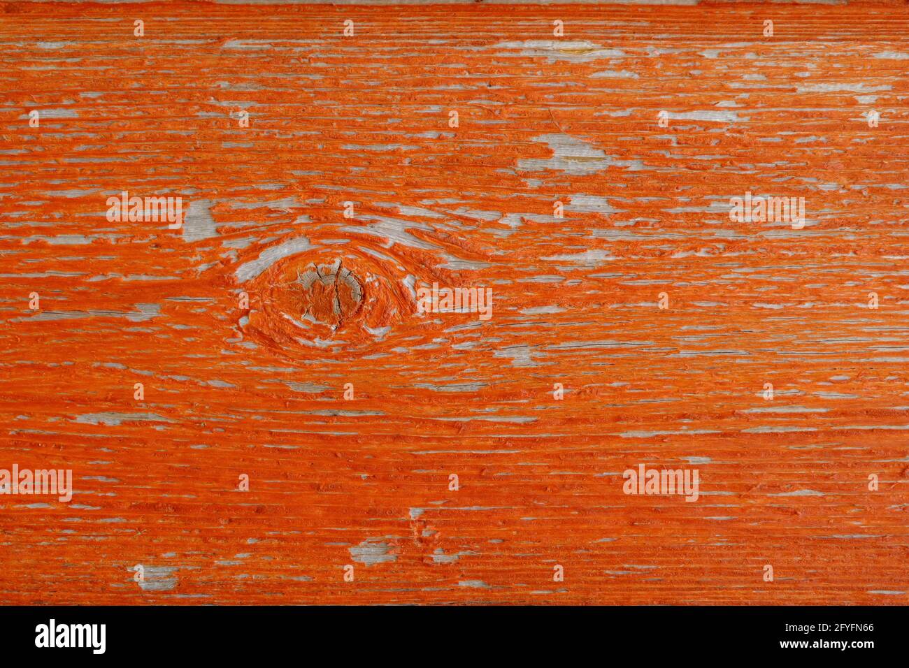 An old texture board with a knot, covered with peeling bright orange paint. Background textures. Stock Photo