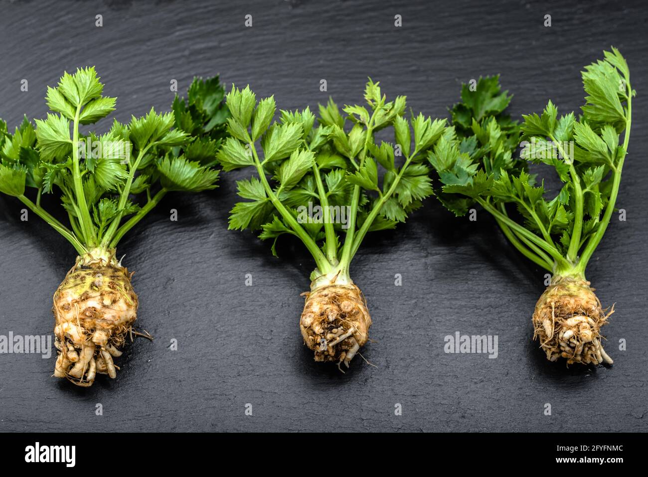 Root of celery and stalks, green vegetables on black background, healthy eating concept Stock