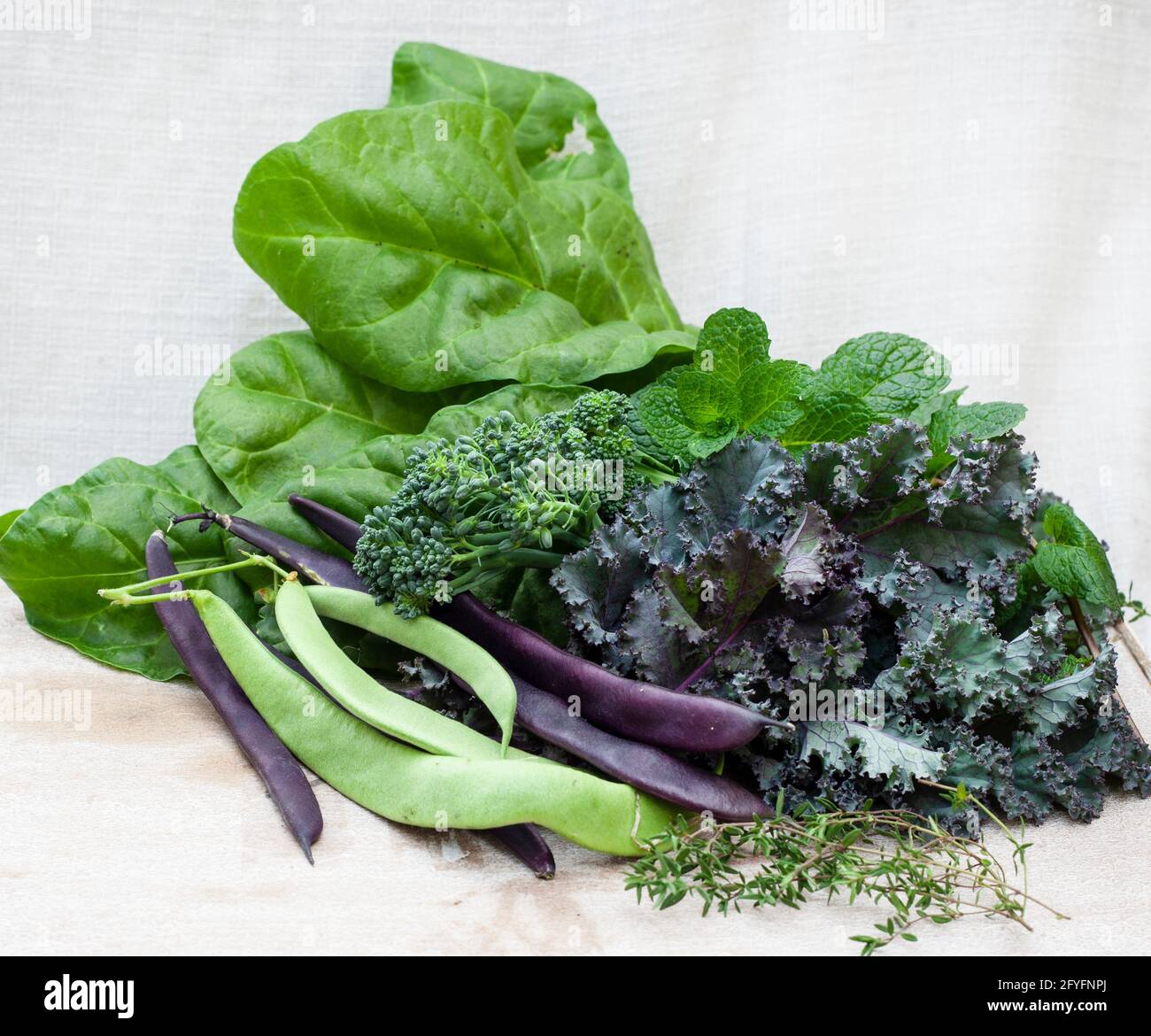 freshly harvested leafy greens with colorful green beans and broccoli Stock Photo
