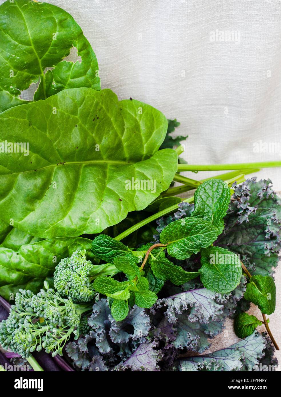 freshly harvested leafy greens with colorful green beans and broccoli Stock Photo