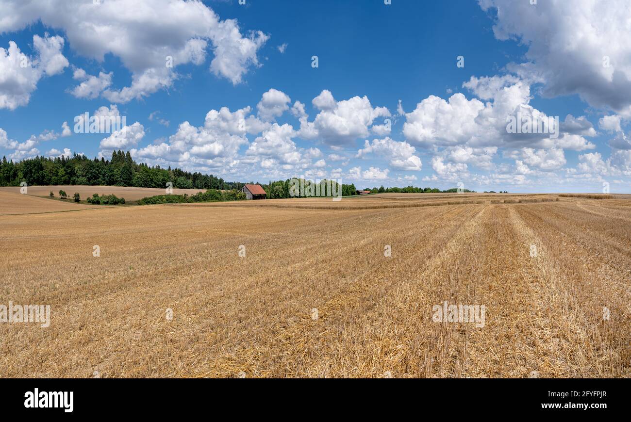 Stubble field in rural idyll with distant barn Stock Photo
