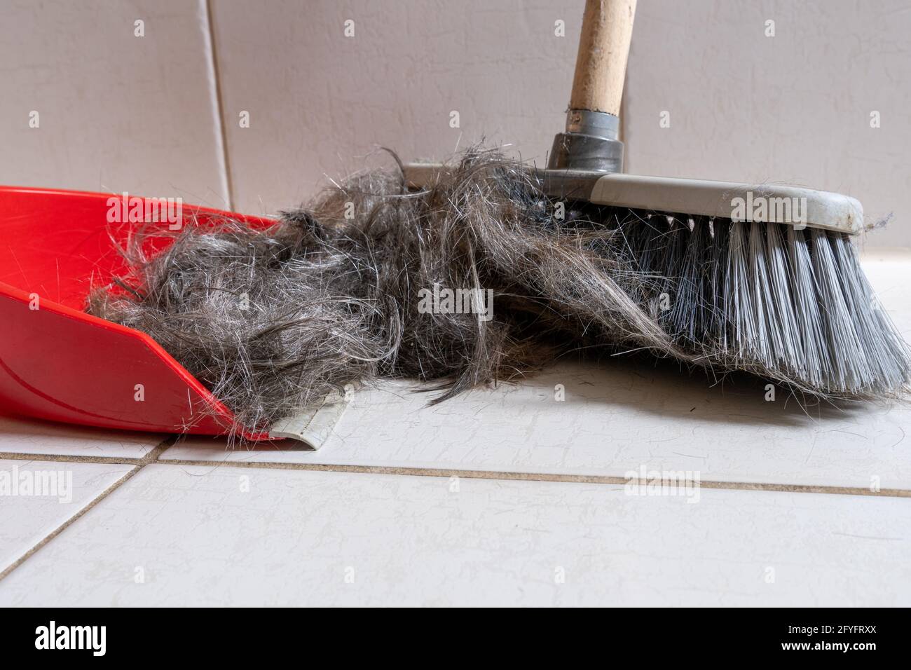 Brush broom with dustpan cleaning human hair Stock Photo