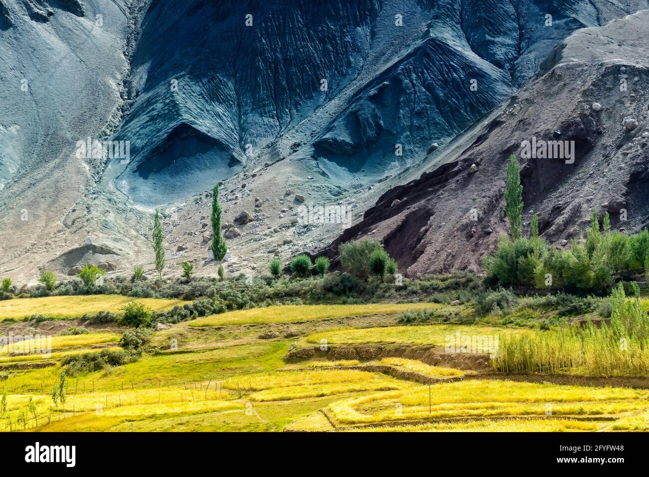 Agricultural land , Ladakh, Jammu and Kashmir, India Stock Photo Alamy