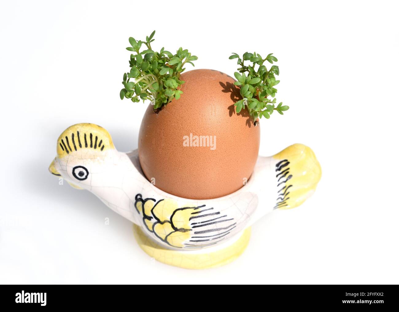 Kresse, Saemling, Lepidium Sativum, ist eine wichtige Heil- und Medizinalpflanze. Zu Ostern ein Spass fuer Kinder in einem Ei gezogen. Cress, seedling Stock Photo