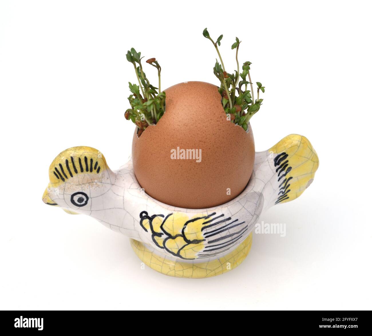 Kresse, Saemling, Lepidium Sativum, ist eine wichtige Heil- und Medizinalpflanze. Zu Ostern ein Spass fuer Kinder in einem Ei gezogen. Cress, seedling Stock Photo