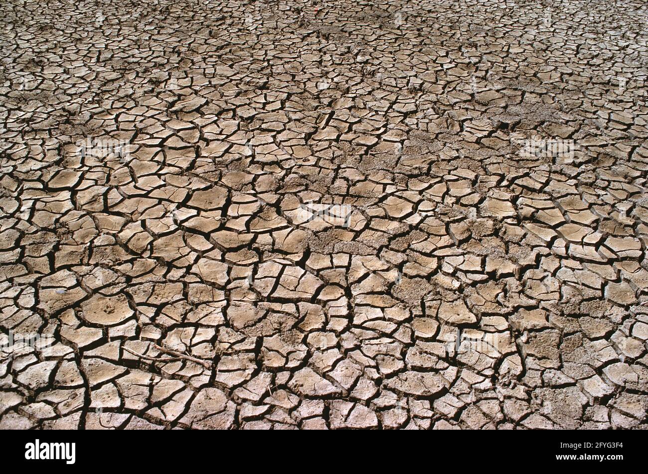 Australia. New South Wales. Drought. Parched cracked ground. Stock Photo