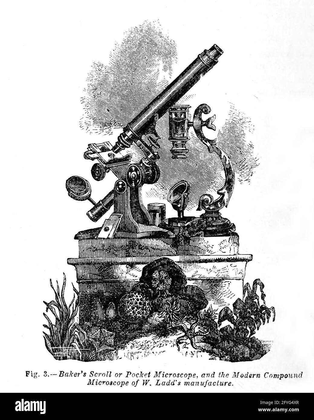 Baker's Scroll or Pocket Microscope, and the Modern Compound Microscope of W. Ladd's manufacture From the book '  The microscope : its history, construction, and application ' by Hogg, Jabez, 1817-1899 Published in London by G. Routledge in 1869 with Illustrations by TUFFEN WEST Stock Photo